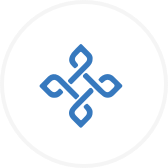 IOST